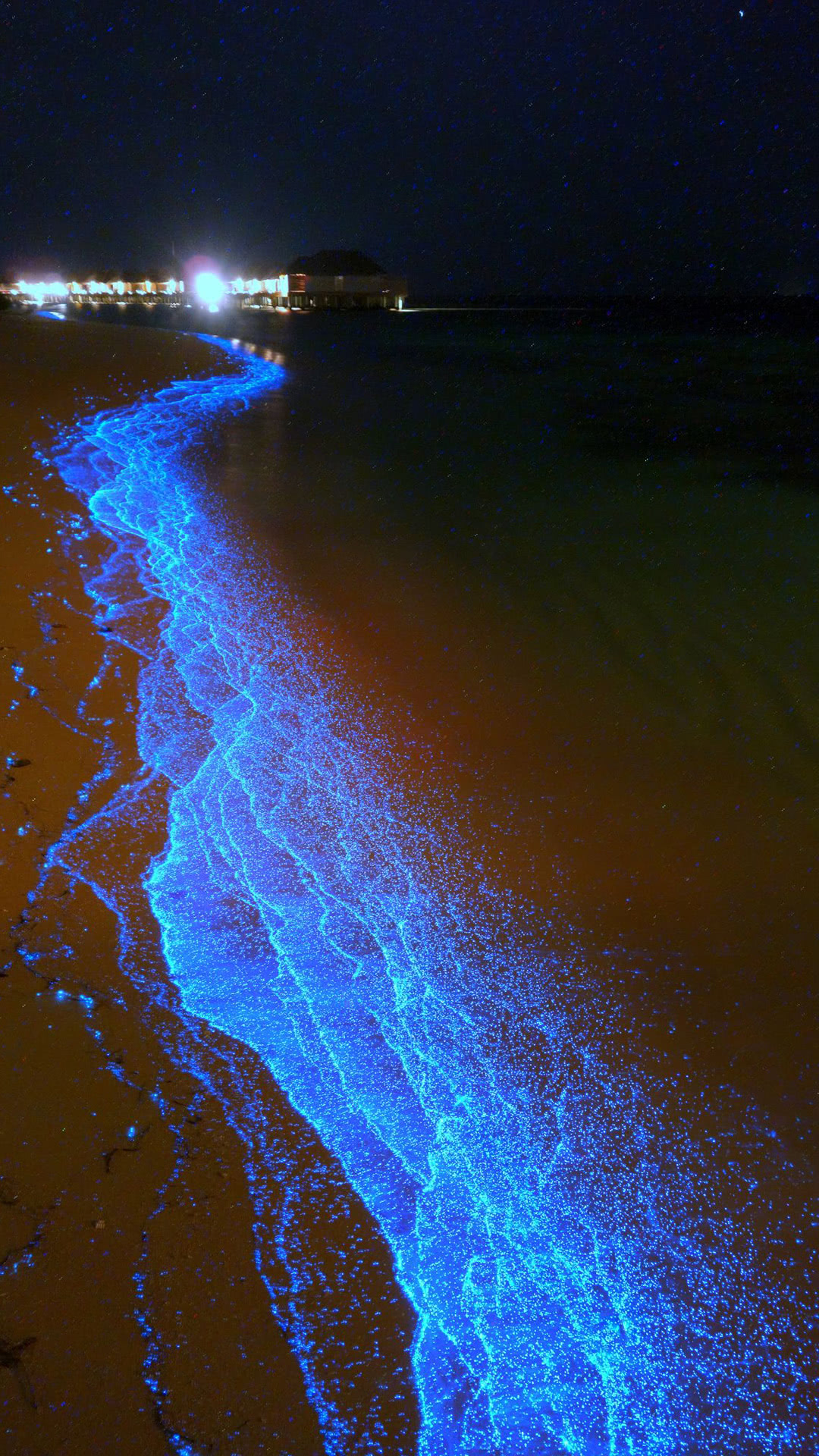 青く光り輝く夜の海 Iphone Wallpapers
