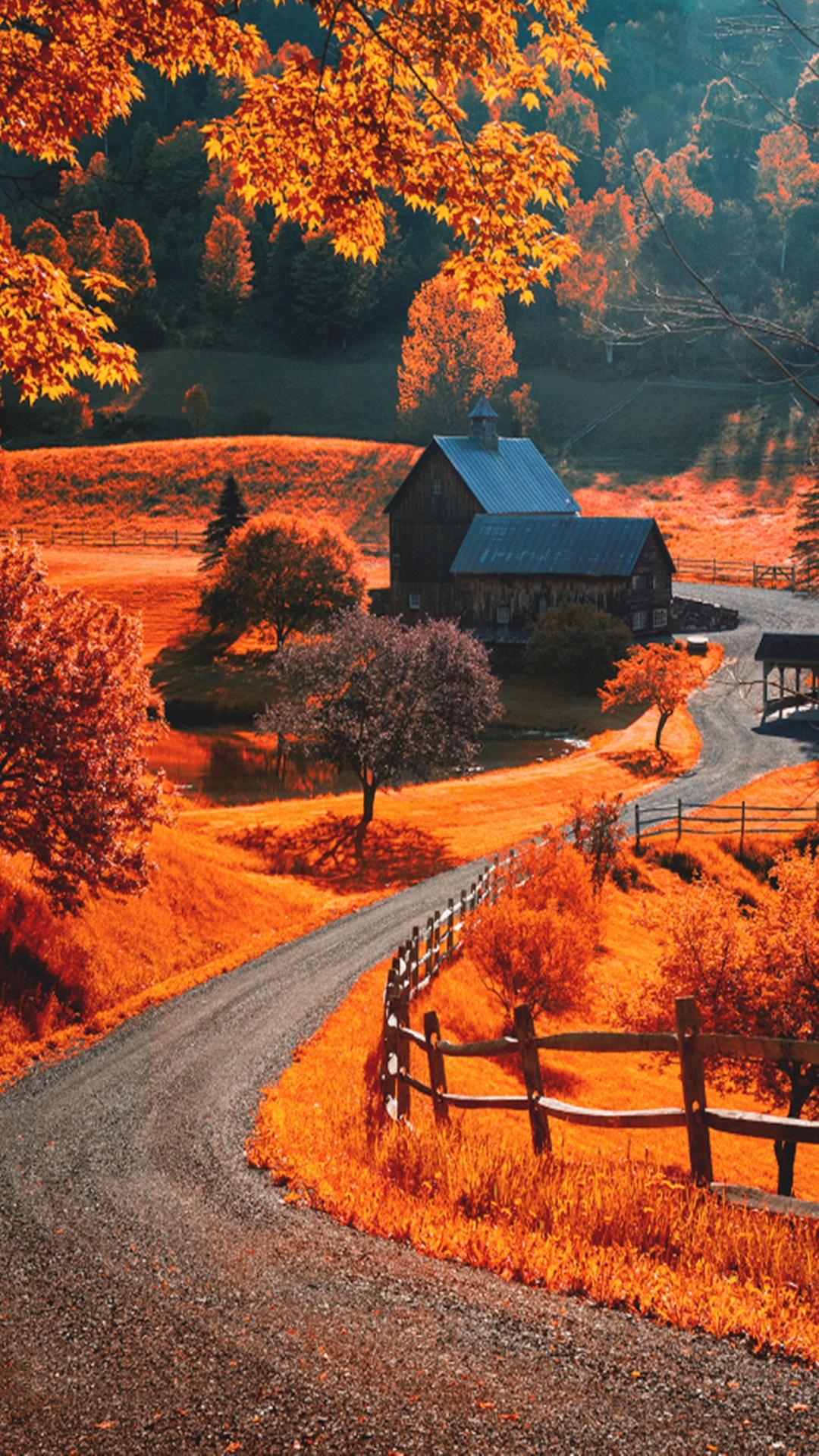 秋の田舎風景 Iphone Wallpapers