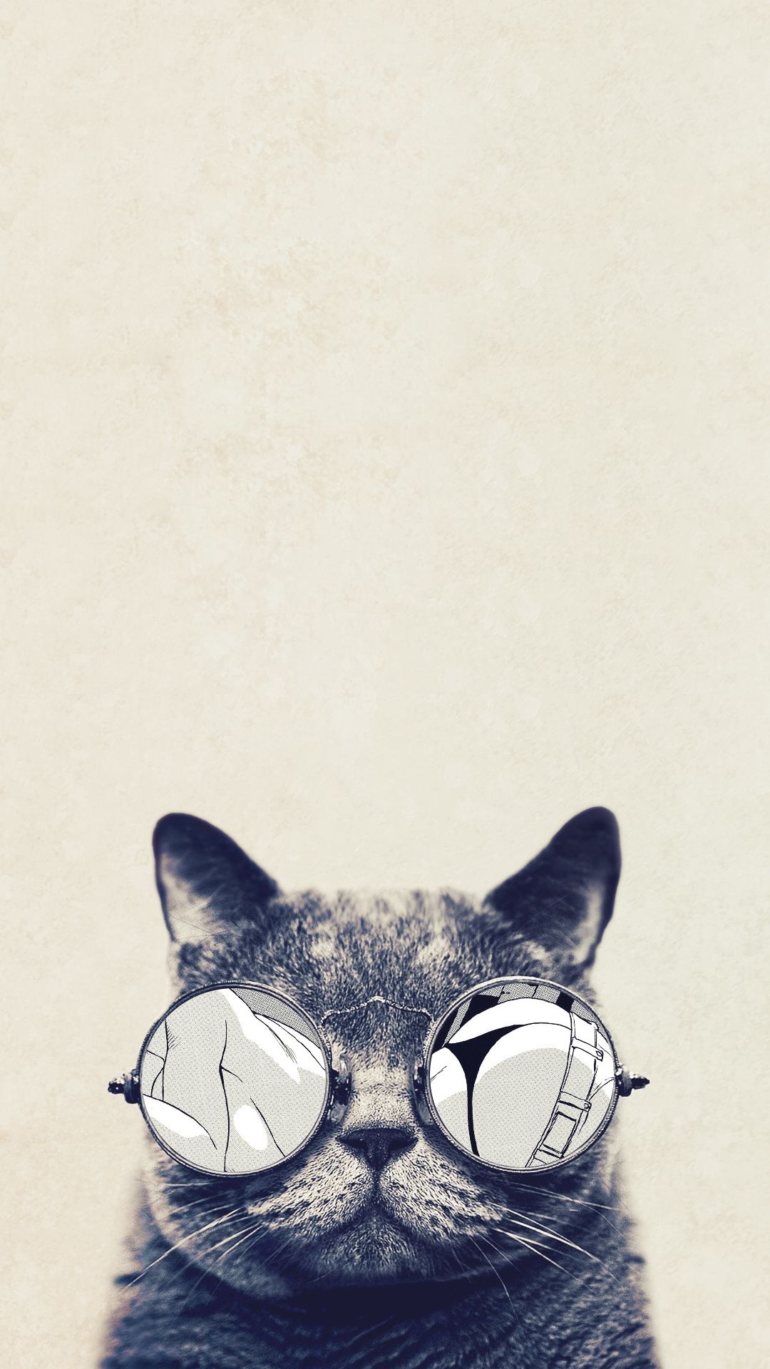 サングラス猫 Iphone Wallpapers