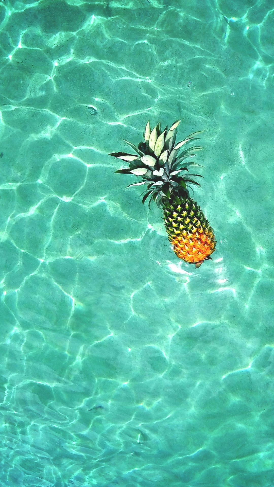 Pineapples floating in the pool | iPhone Wallpapers