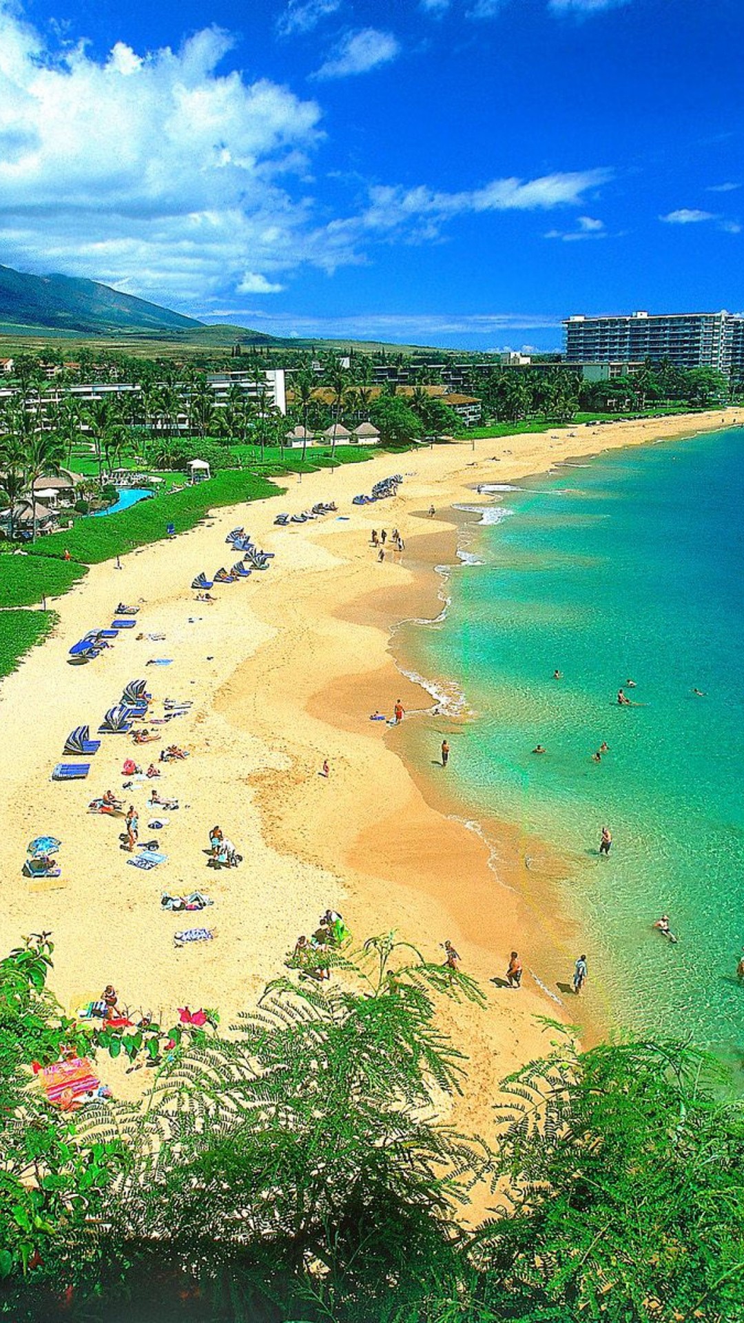 ハワイのビーチ Iphone Wallpapers