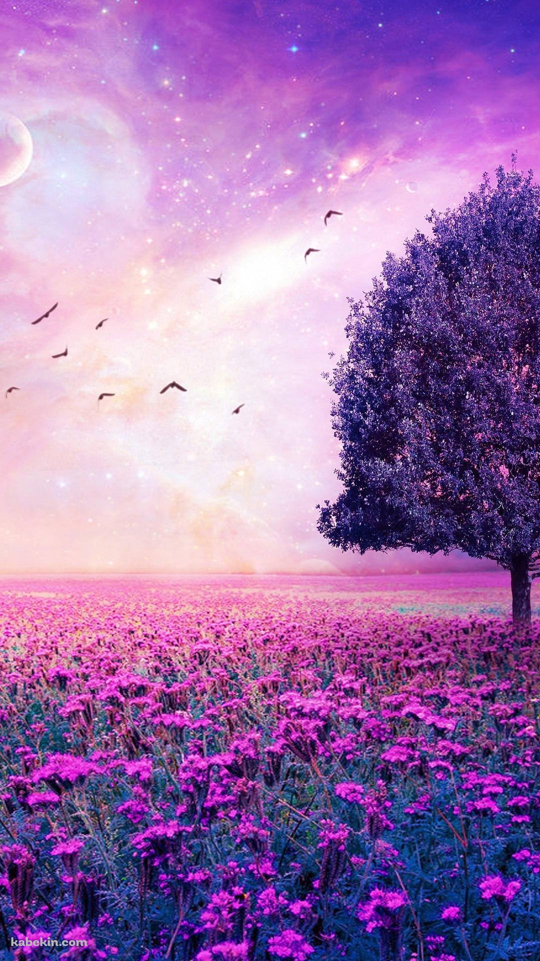 Purple Flower Garden Iphone Wallpapers