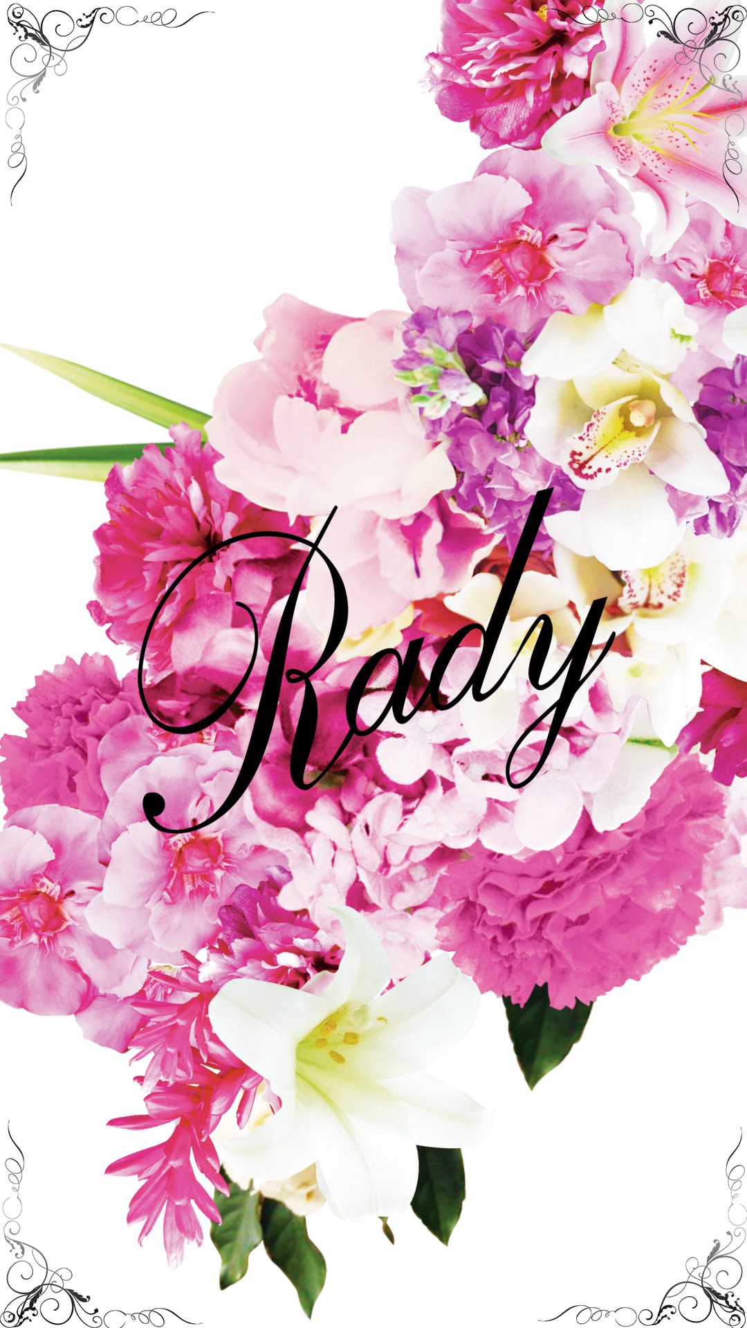 Rady | iPhone Wallpapers