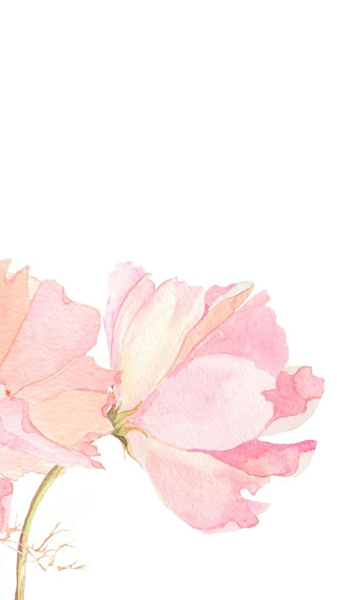 花の水彩画 Iphone Wallpapers