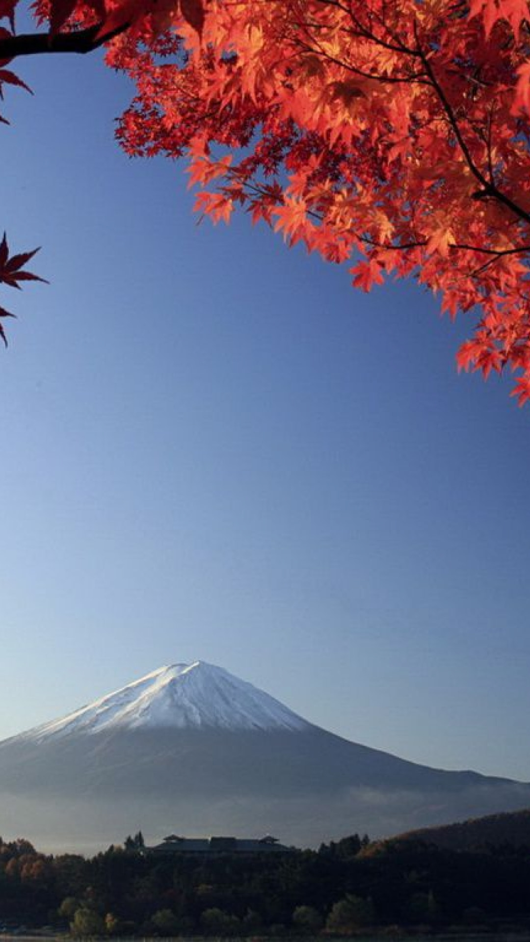 秋の富士山 Iphone Wallpapers