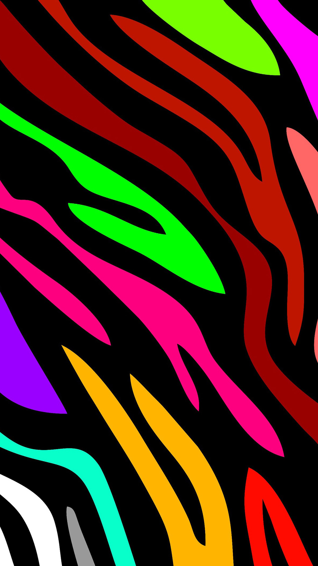 Colorful Zebra Iphone Wallpapers
