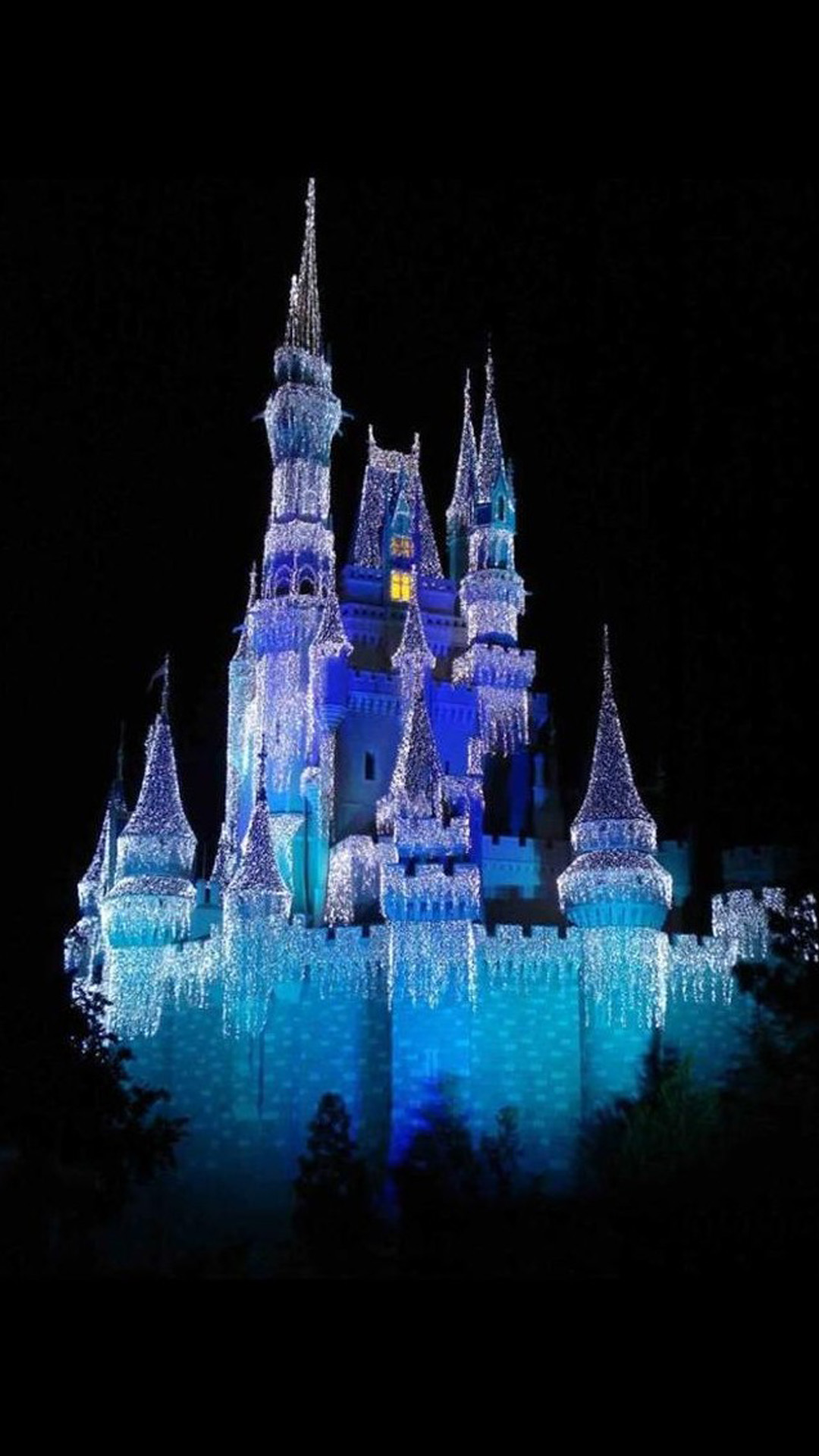 Cinderella Castle Lit Up Iphone Wallpapers
