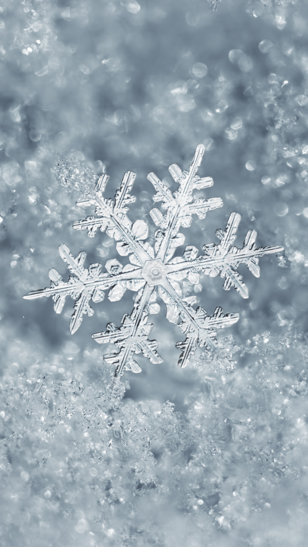 Snow Crystal Iphone Wallpapers