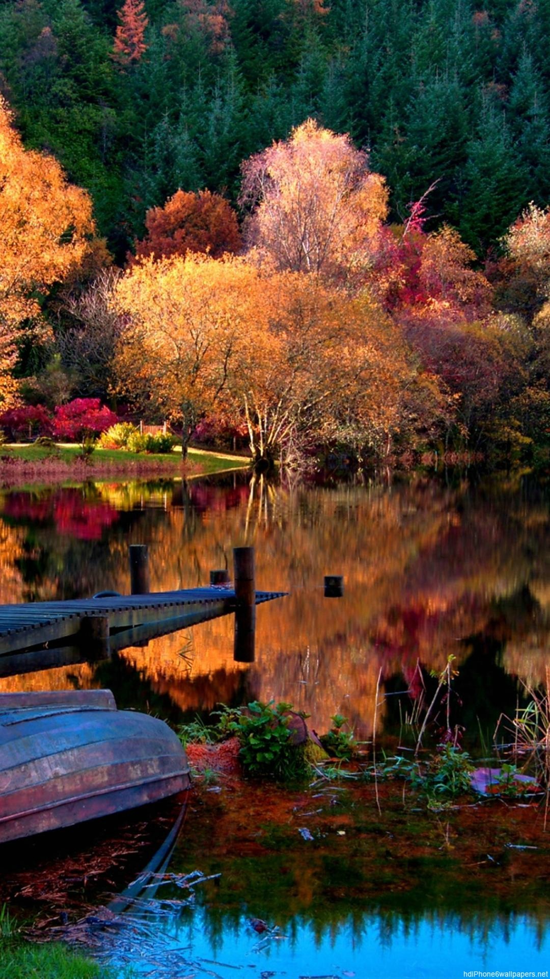 池に映る美しい紅葉の風景 Iphone Wallpapers