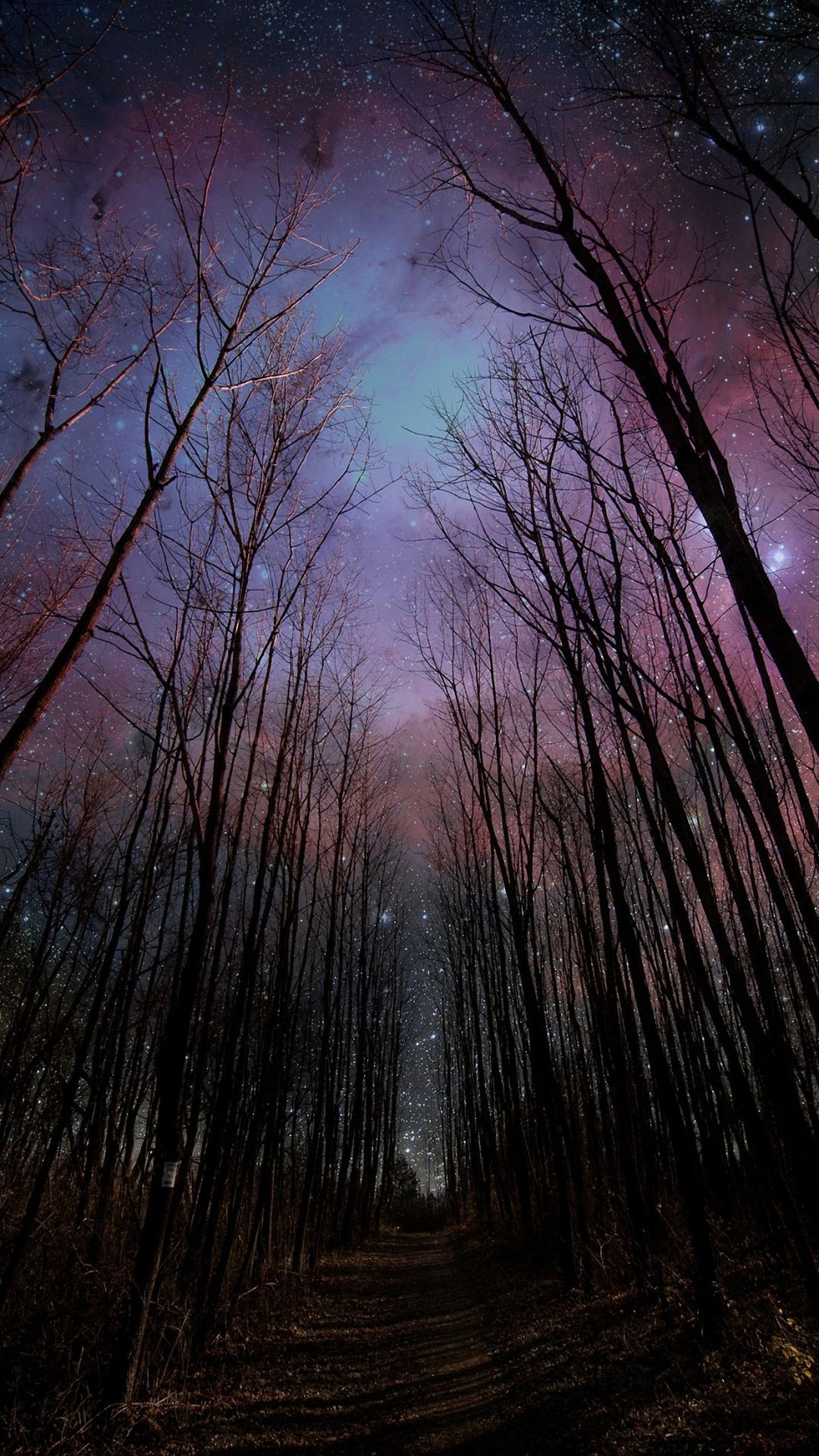 幻想的な星空の森 Iphone Wallpapers