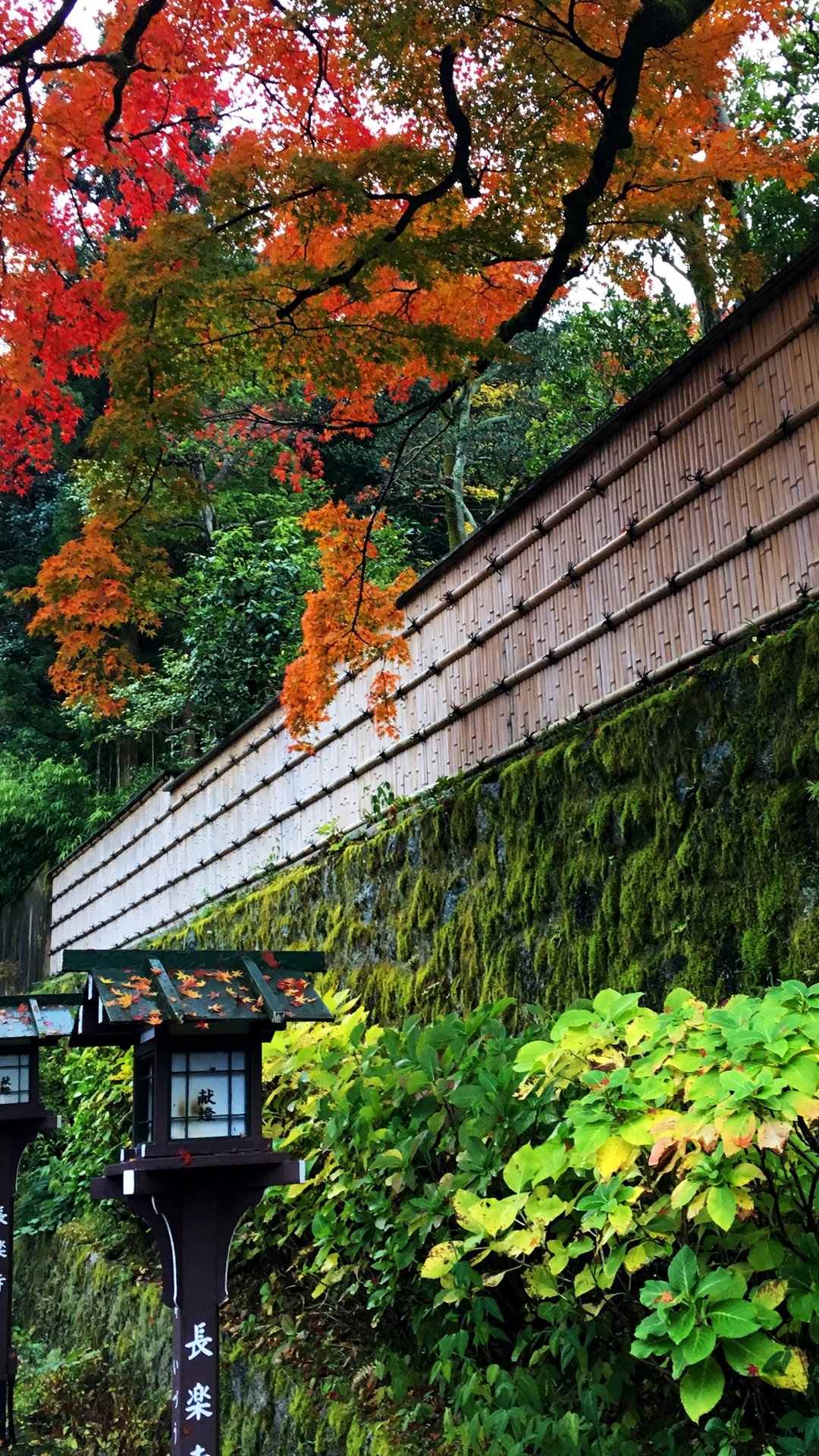 京都の日本庭園 Iphone Wallpapers