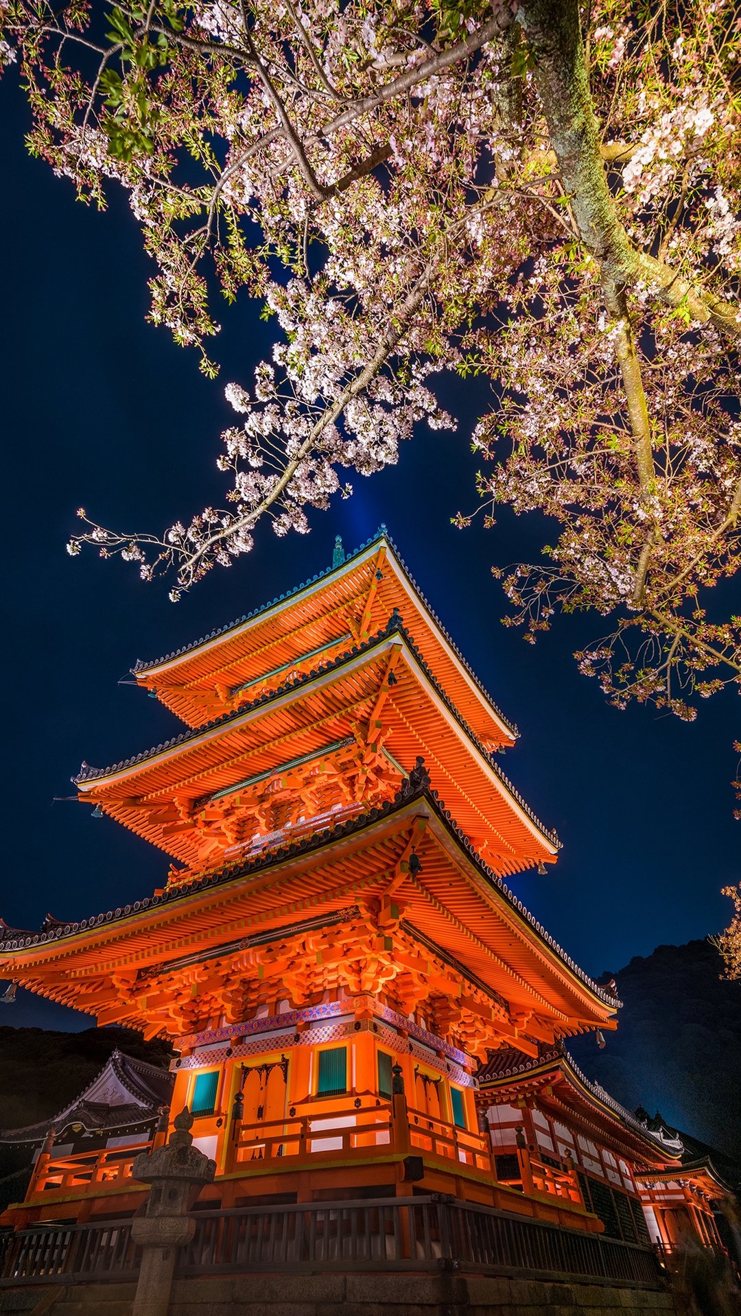 京都 清水寺の夜桜 Iphone Wallpapers
