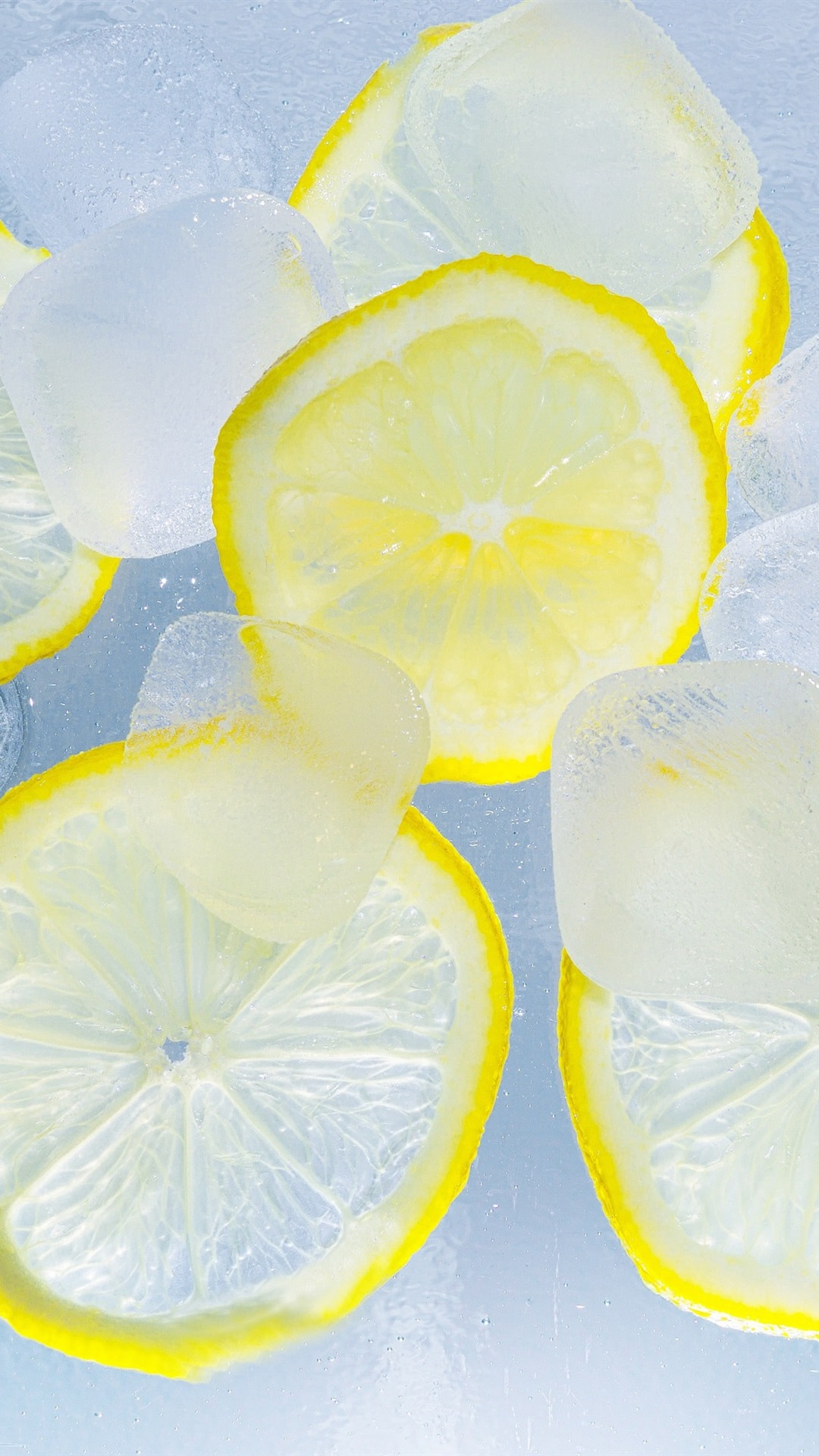 レモンの輪切りと氷 Iphone Wallpapers