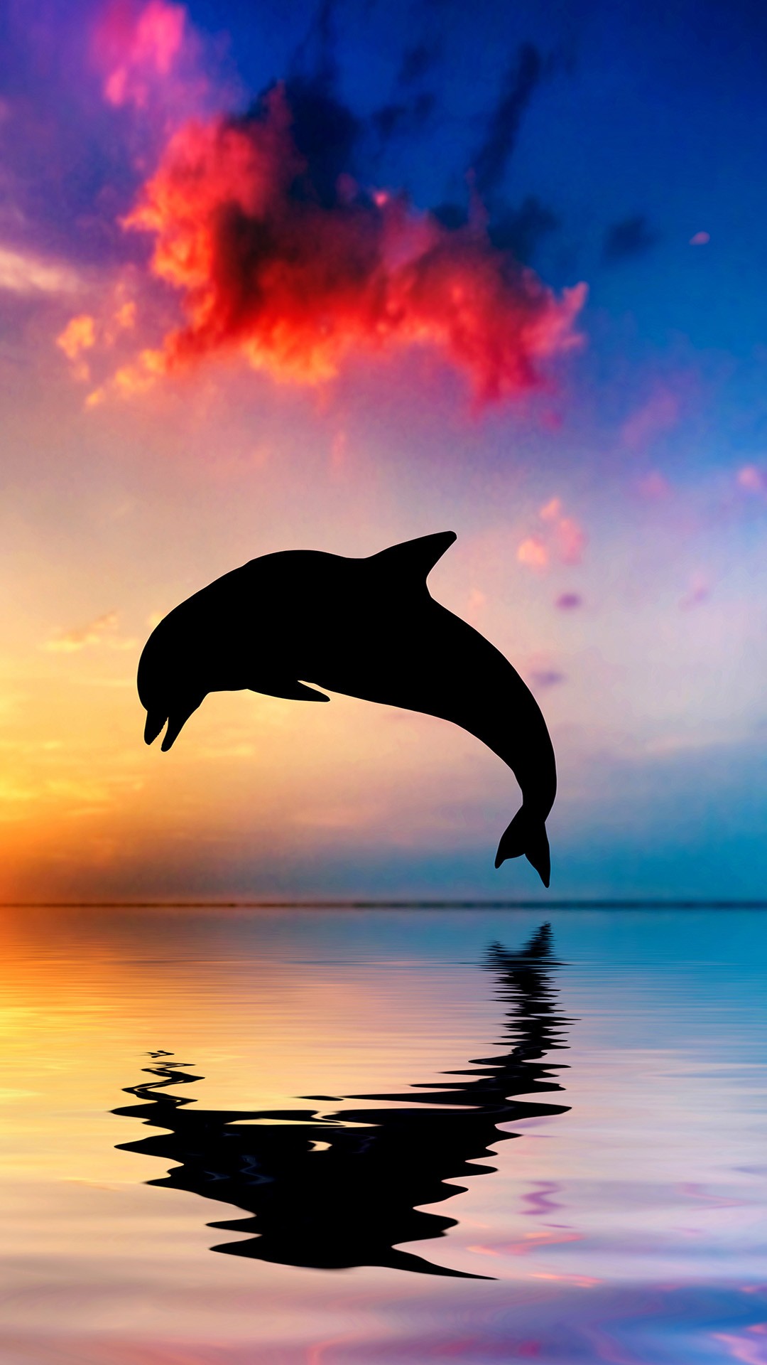 Dolphin bounce the sea | iPhone Wallpaper