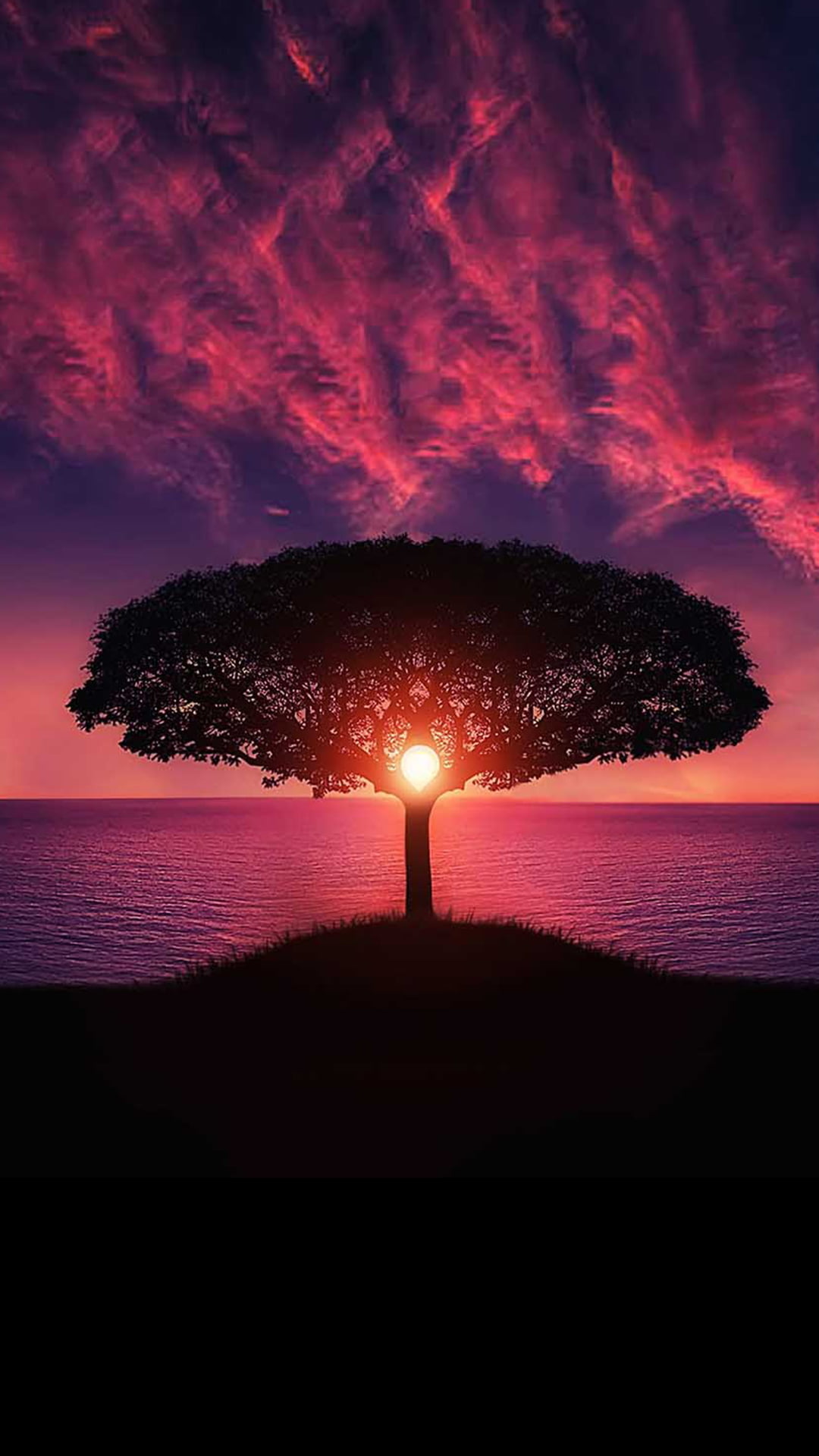 Sunset and big tree | iPhone Wallpapers