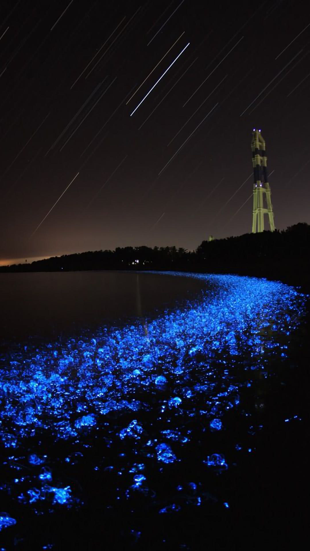 幻想的な景色 青く輝く夜の浜辺 Iphone Wallpapers