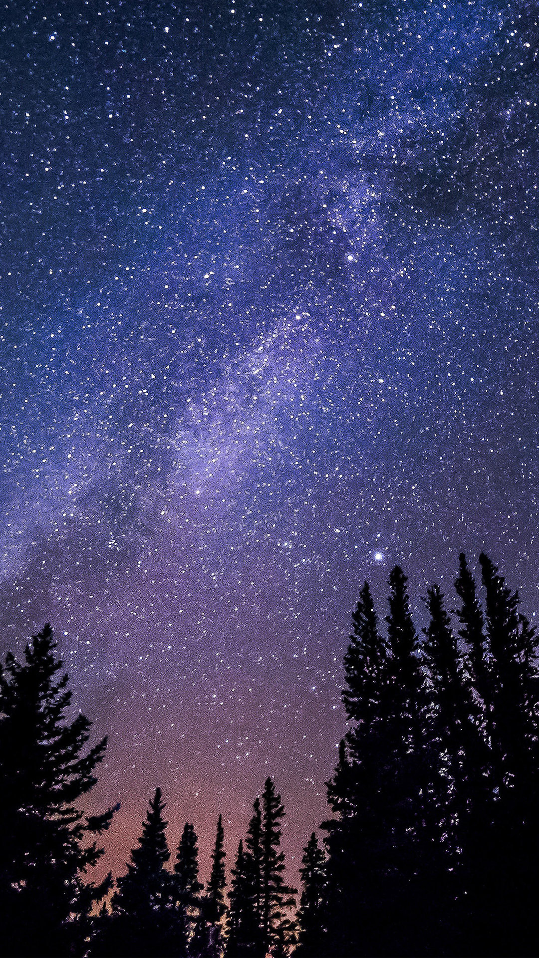 Starry Sky In The Forest Iphone Wallpapers
