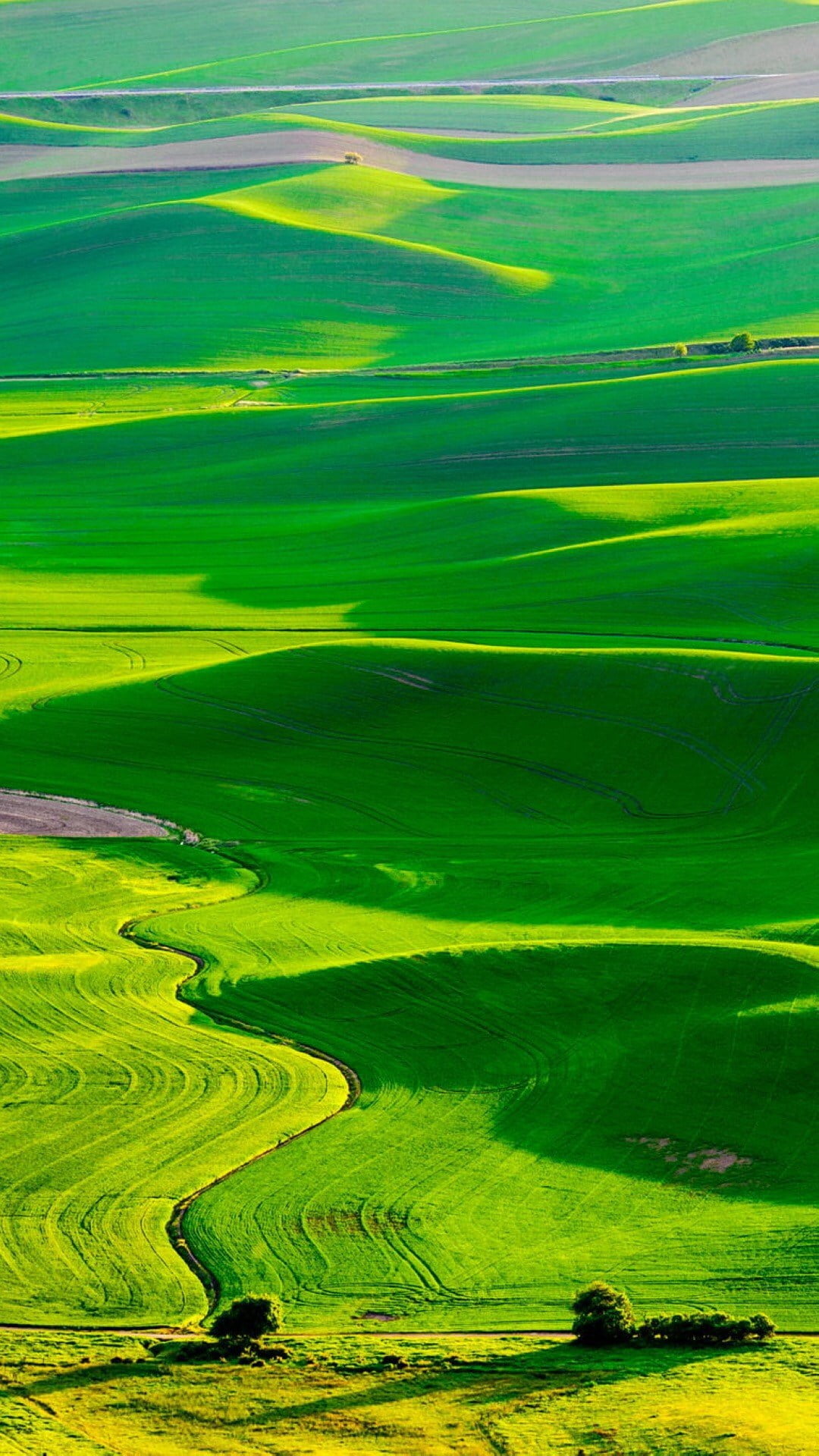 緑の平原 Iphone Wallpapers