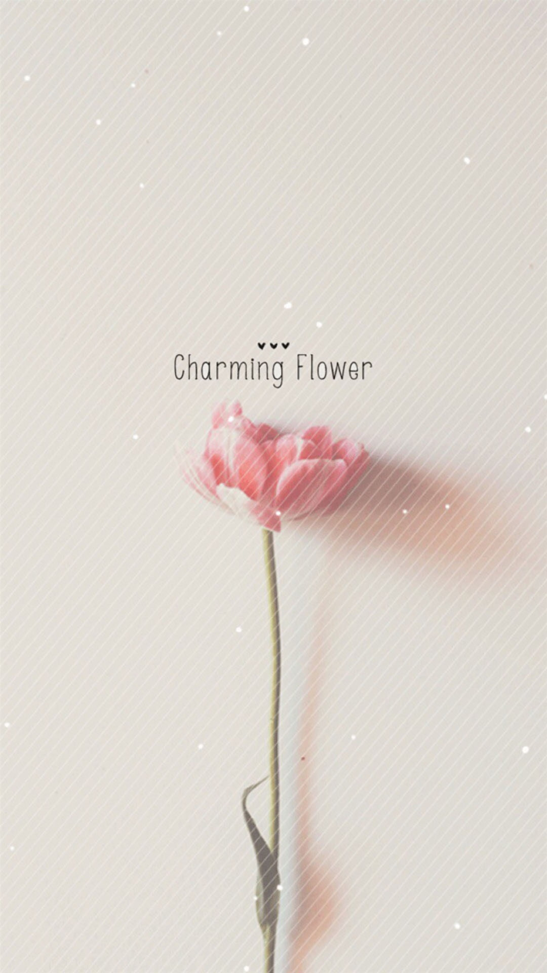 かわいい花 Iphone Wallpapers