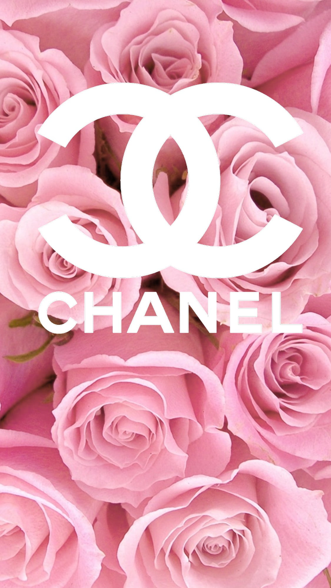 Chanel シャネル 薔薇 Iphone Wallpapers