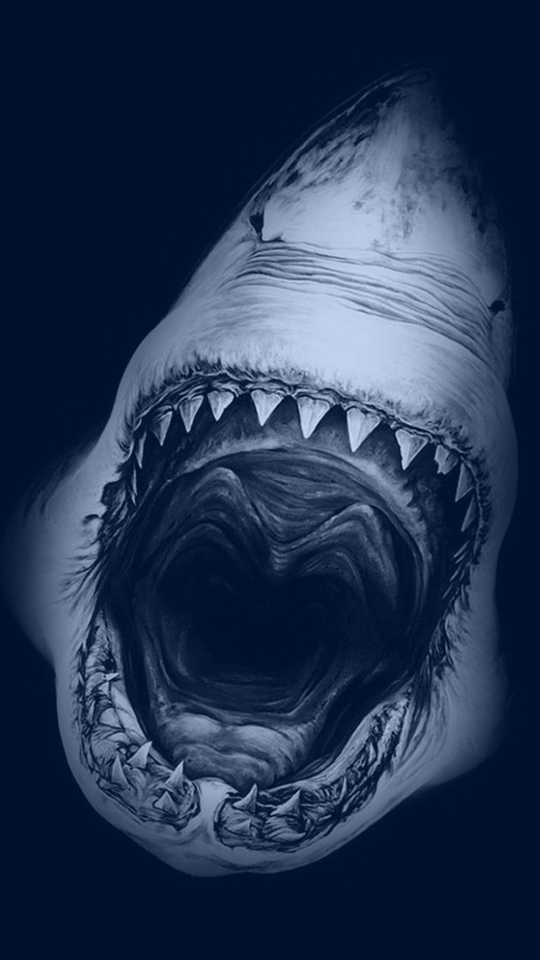 恐ろしいサメ Iphone Wallpapers