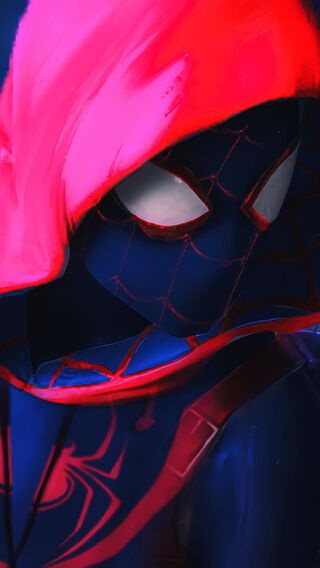 16 Spiderman Spider Verse Iphone Wallpaper Ryan Wallpaper