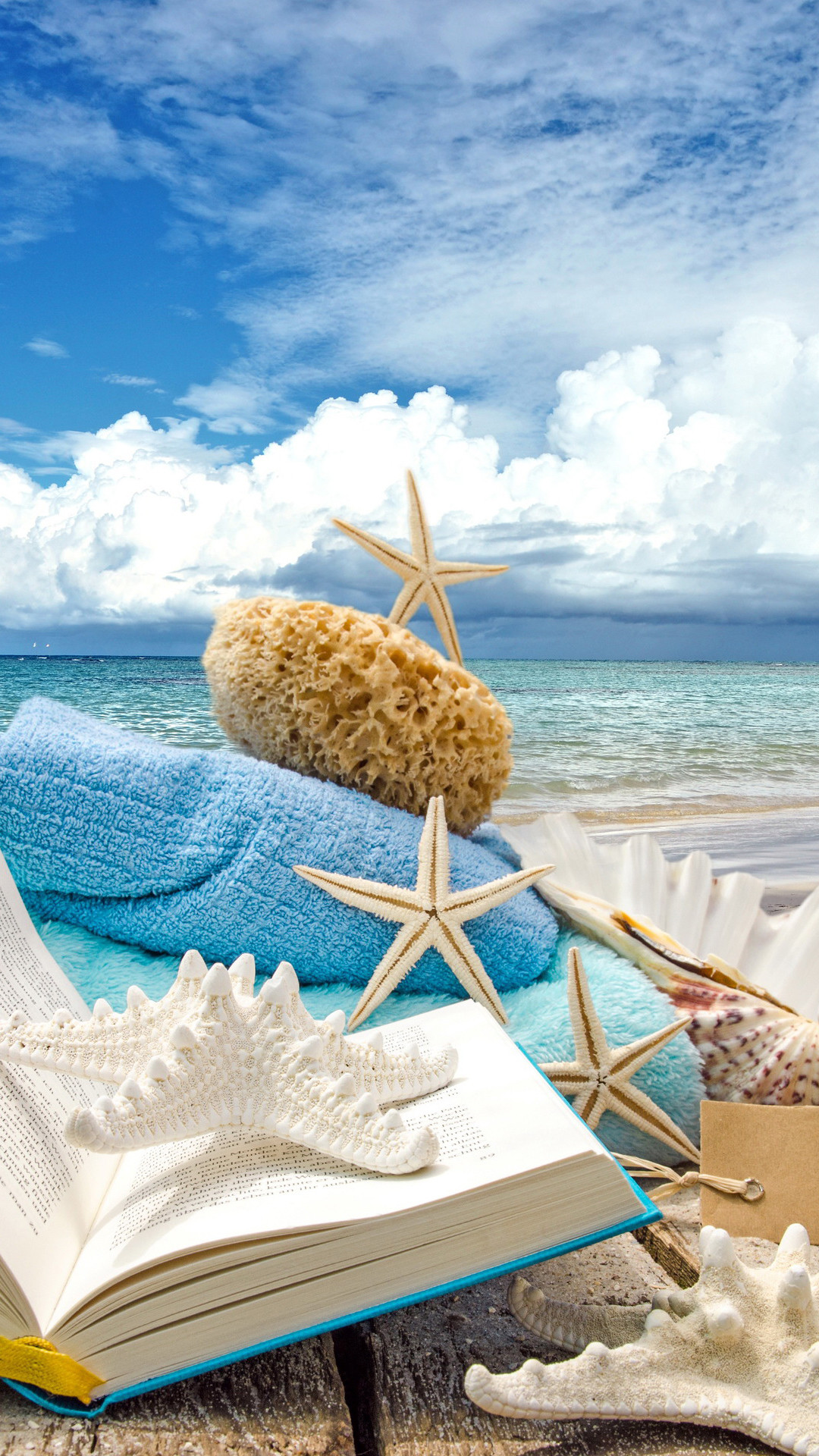 Summer Beach Book Seashells Sea Stars Iphone 6 Plus Hd Wallpaper Iphone Wallpapers
