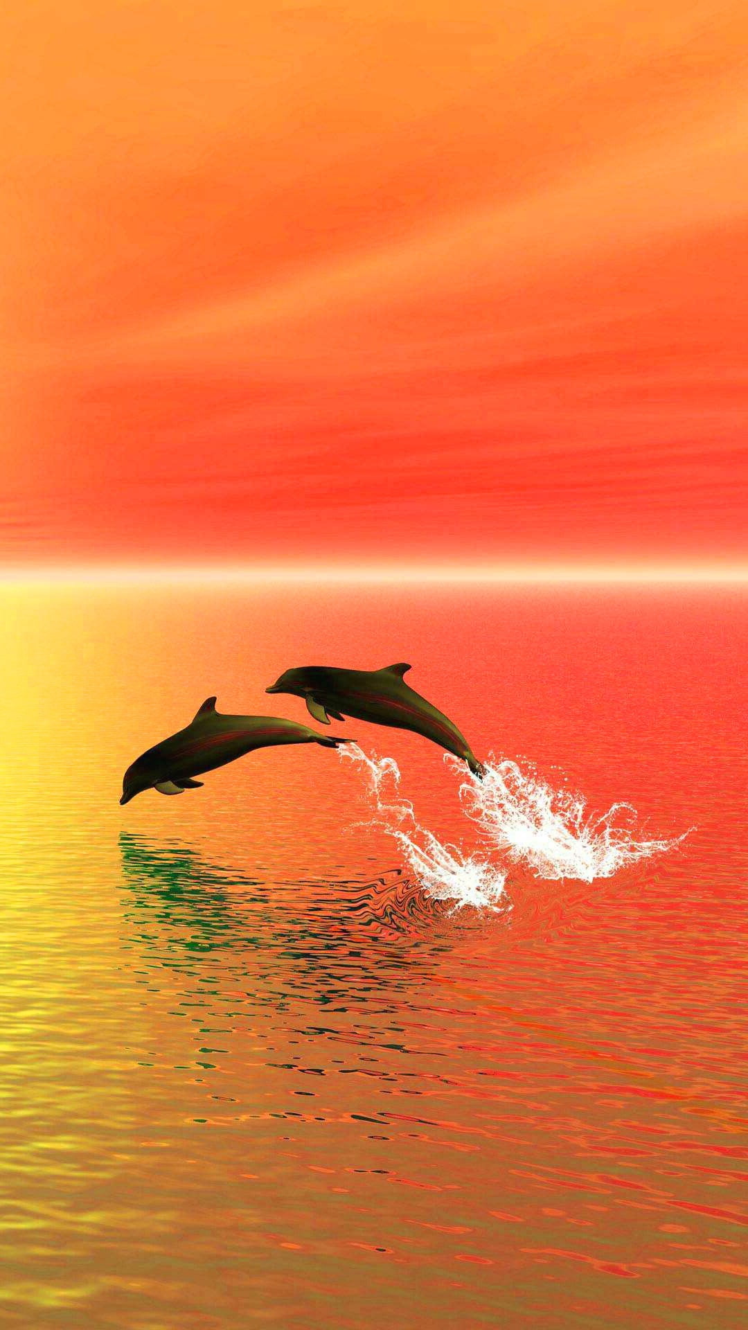 Twilight Sea And Dolphins Iphone Wallpapers