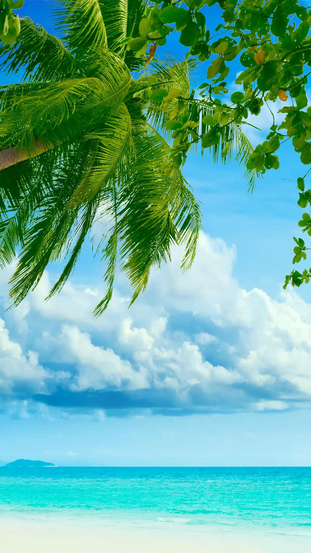 トロピカルなビーチとヤシの木 夏っぽいスマホ壁紙 Iphone Wallpapers