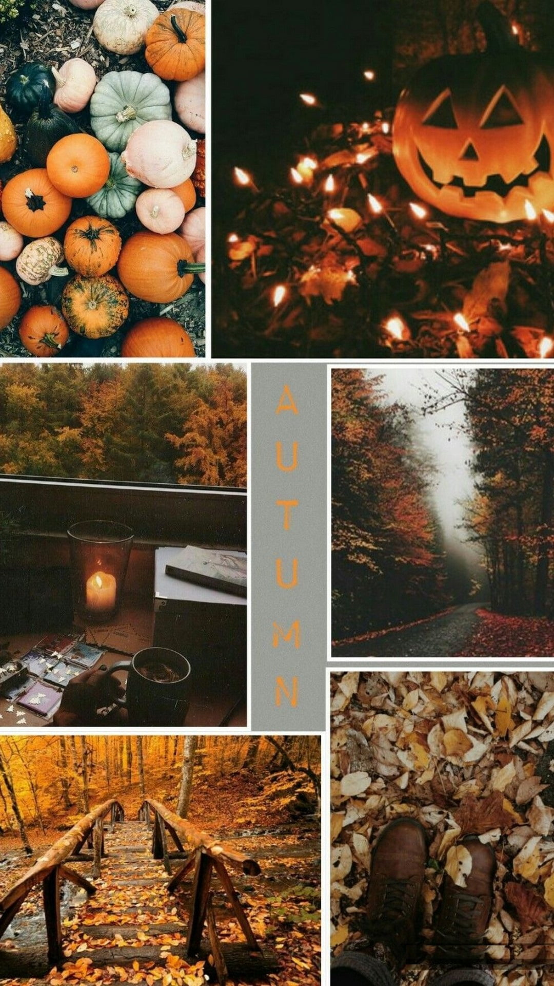 autumn scenery wallpaper  Lemon8 Search