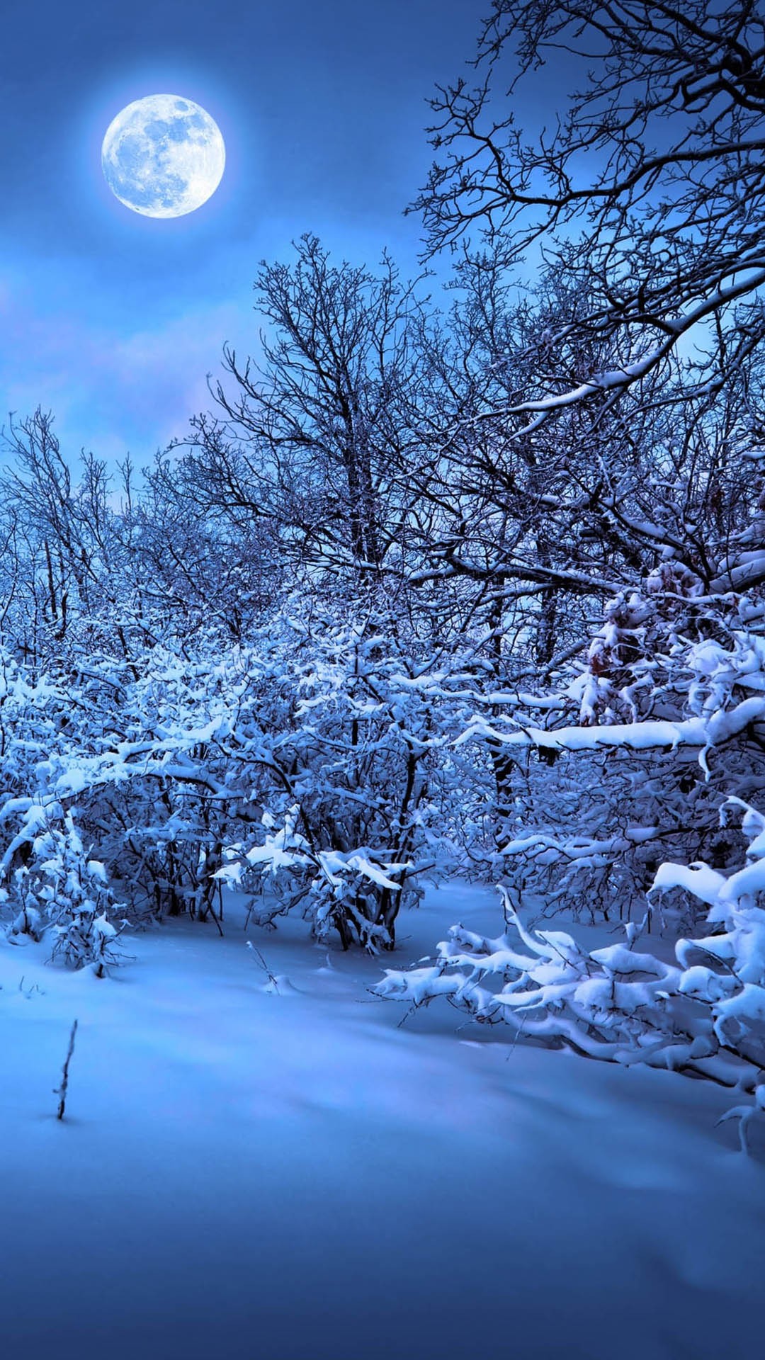 雪に包まれた月夜の森 Iphone Wallpapers